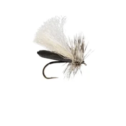 RIO Foam Run Caddis Fly (12 Count)