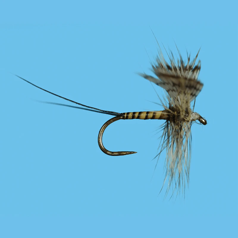 Solitude Green Drake Hackled Spinner Fly (12 Count) 1 Solitude Green Drake Hackled Spinner Fly (12 Count)