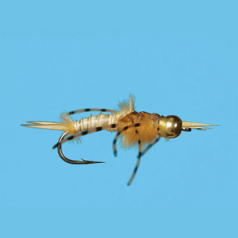 Solitude Tungsten Golden Stone Fly (12 Count) 1 Solitude Tungsten Golden Stone Fly (12 Count)