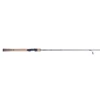 Fenwick Fishing Eagle 2 Spinning Rod