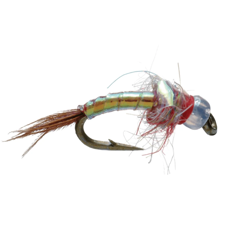 Umpqua Rainbow Warrior Fly 1 Umpqua Rainbow Warrior Fly